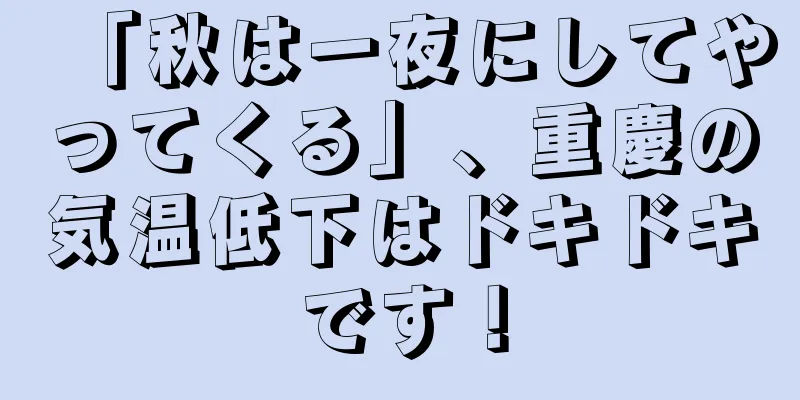 「秋は一夜にしてやってくる」、重慶の気温低下はドキドキです！