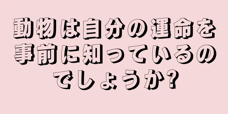 動物は自分の運命を事前に知っているのでしょうか?