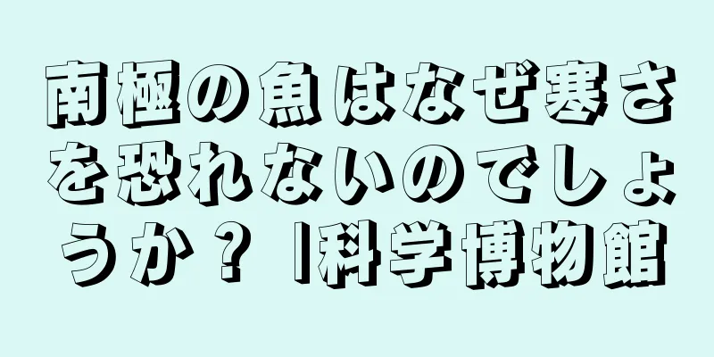 南極の魚はなぜ寒さを恐れないのでしょうか？ |科学博物館