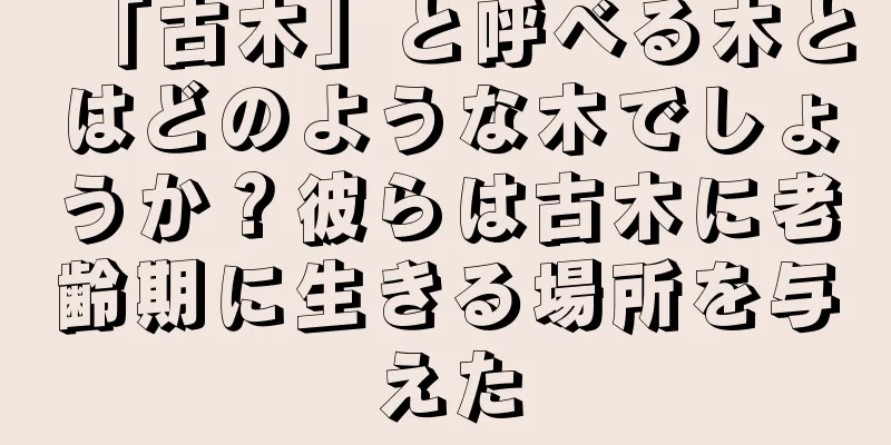 「古木」と呼べる木とはどのような木でしょうか？彼らは古木に老齢期に生きる場所を与えた