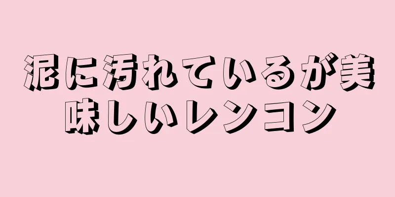 泥に汚れているが美味しいレンコン
