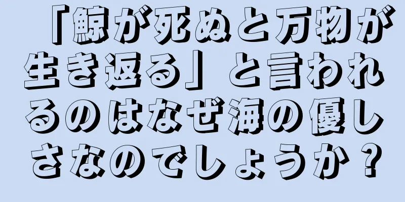 「鯨が死ぬと万物が生き返る」と言われるのはなぜ海の優しさなのでしょうか？