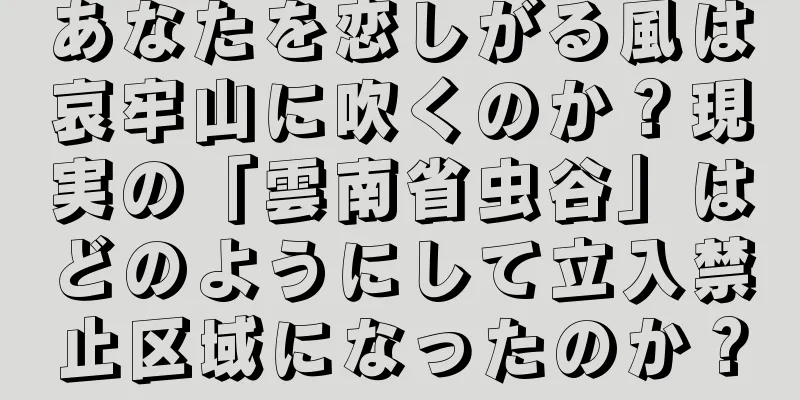 あなたを恋しがる風は哀牢山に吹くのか？現実の「雲南省虫谷」はどのようにして立入禁止区域になったのか？