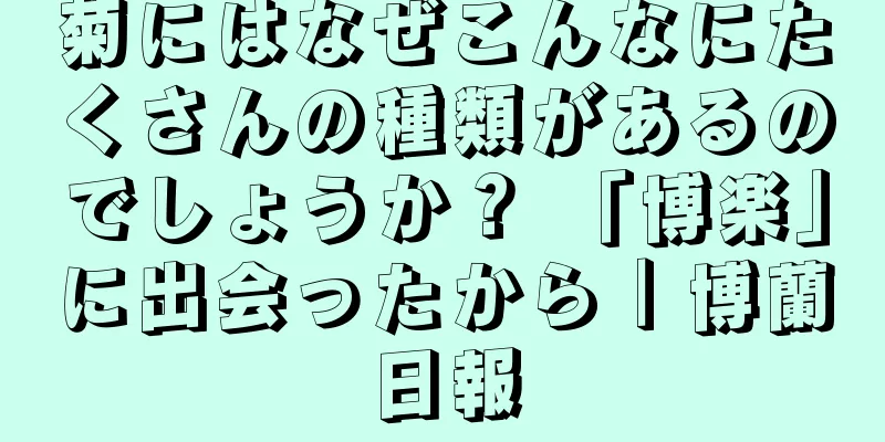 菊にはなぜこんなにたくさんの種類があるのでしょうか？ 「博楽」に出会ったから｜博蘭日報