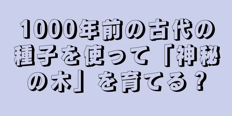 1000年前の古代の種子を使って「神秘の木」を育てる？