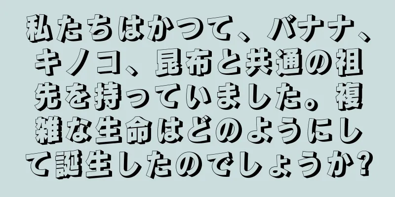 私たちはかつて、バナナ、キノコ、昆布と共通の祖先を持っていました。複雑な生命はどのようにして誕生したのでしょうか?