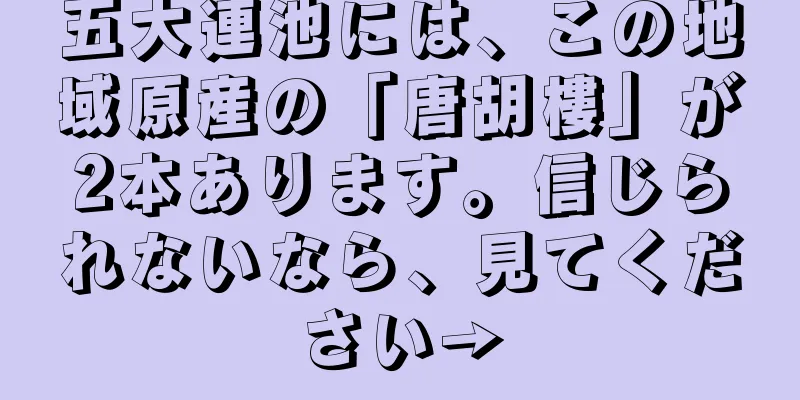 五大連池には、この地域原産の「唐胡樓」が2本あります。信じられないなら、見てください→