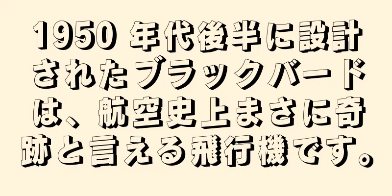 1950 年代後半に設計されたブラックバードは、航空史上まさに奇跡と言える飛行機です。