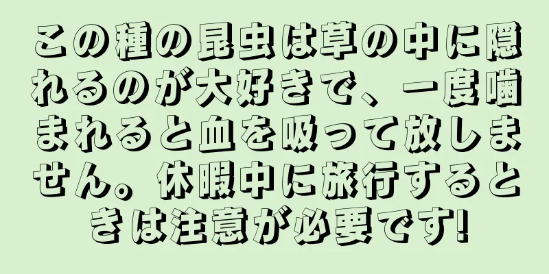 この種の昆虫は草の中に隠れるのが大好きで、一度噛まれると血を吸って放しません。休暇中に旅行するときは注意が必要です!