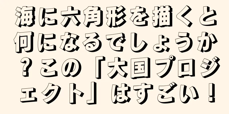 海に六角形を描くと何になるでしょうか？この「大国プロジェクト」はすごい！