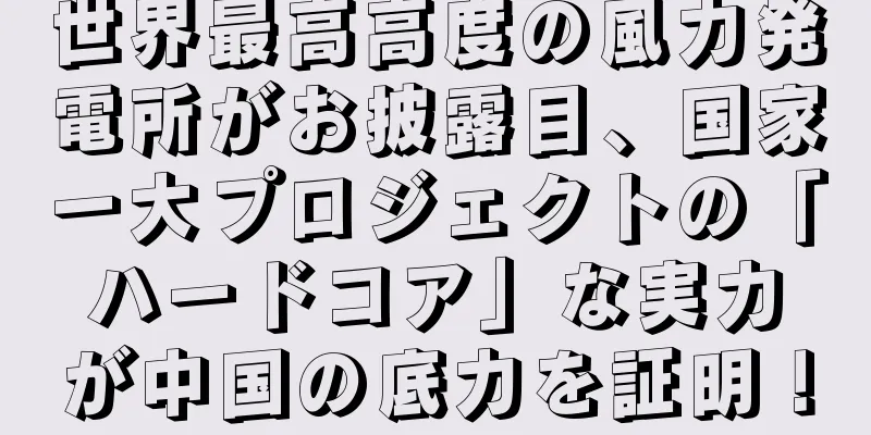 世界最高高度の風力発電所がお披露目、国家一大プロジェクトの「ハードコア」な実力が中国の底力を証明！