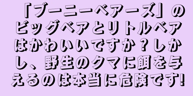 「ブーニーベアーズ」のビッグベアとリトルベアはかわいいですか？しかし、野生のクマに餌を与えるのは本当に危険です!