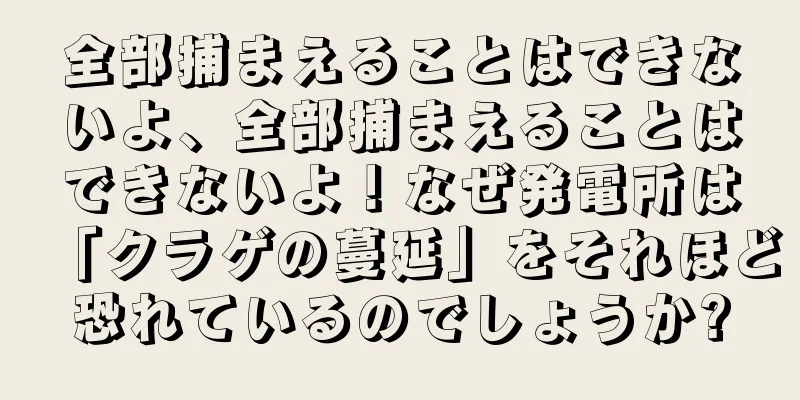 全部捕まえることはできないよ、全部捕まえることはできないよ！なぜ発電所は「クラゲの蔓延」をそれほど恐れているのでしょうか?