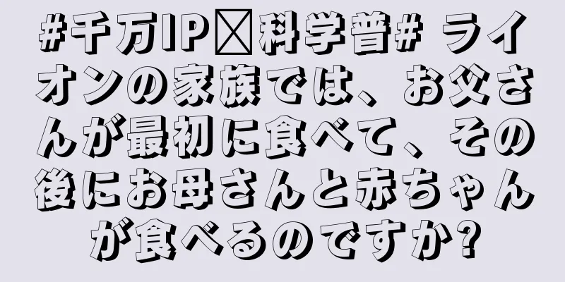 #千万IP创科学普# ライオンの家族では、お父さんが最初に食べて、その後にお母さんと赤ちゃんが食べるのですか?