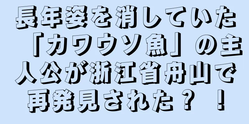長年姿を消していた「カワウソ魚」の主人公が浙江省舟山で再発見された？ ！