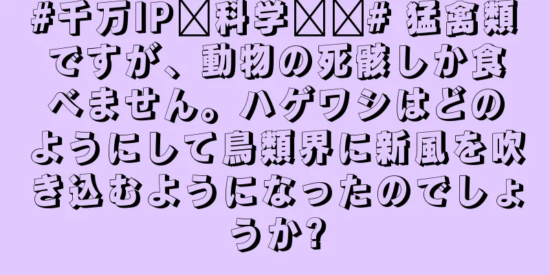 #千万IP创科学热门# 猛禽類ですが、動物の死骸しか食べません。ハゲワシはどのようにして鳥類界に新風を吹き込むようになったのでしょうか?