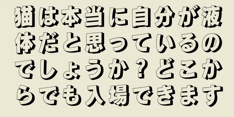 猫は本当に自分が液体だと思っているのでしょうか？どこからでも入場できます