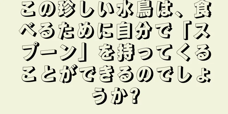 この珍しい水鳥は、食べるために自分で「スプーン」を持ってくることができるのでしょうか?