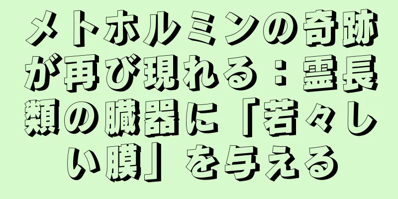 メトホルミンの奇跡が再び現れる：霊長類の臓器に「若々しい膜」を与える