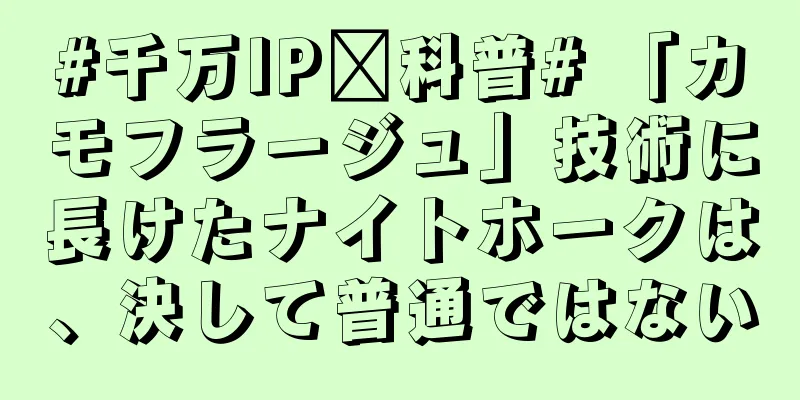 #千万IP创科普# 「カモフラージュ」技術に長けたナイトホークは、決して普通ではない