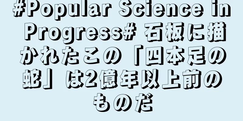 #Popular Science in Progress# 石板に描かれたこの「四本足の蛇」は2億年以上前のものだ