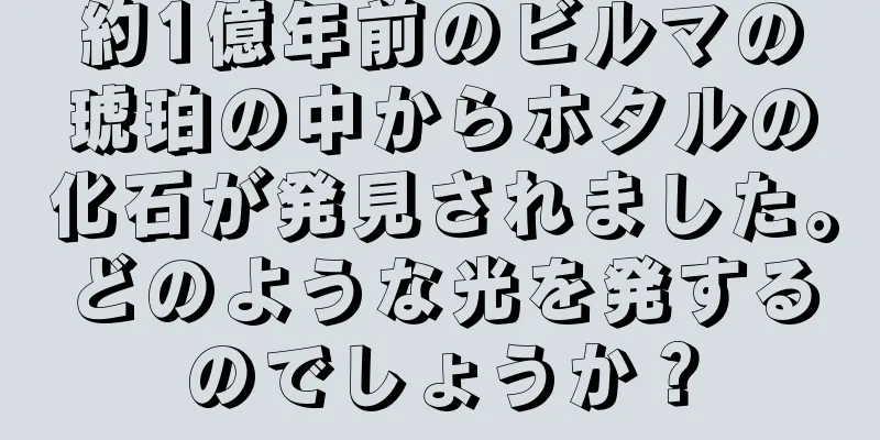 約1億年前のビルマの琥珀の中からホタルの化石が発見されました。どのような光を発するのでしょうか？