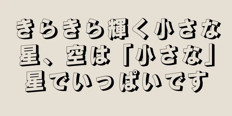 きらきら輝く小さな星、空は「小さな」星でいっぱいです