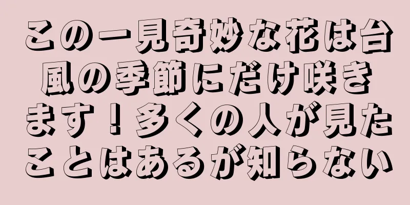 この一見奇妙な花は台風の季節にだけ咲きます！多くの人が見たことはあるが知らない
