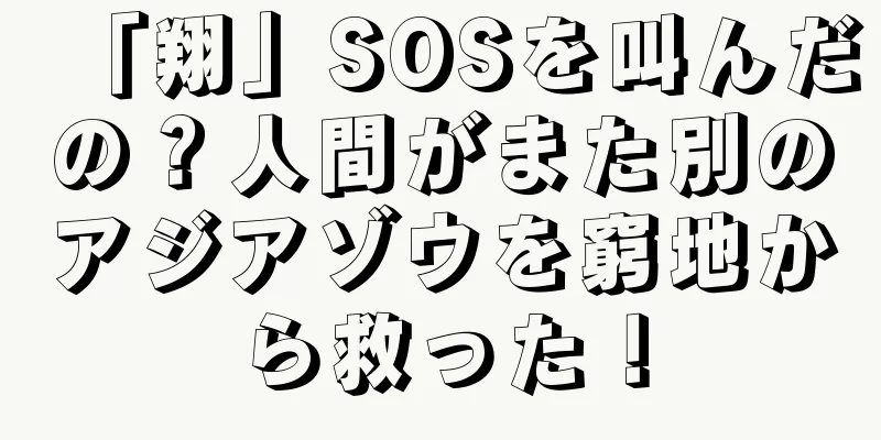 「翔」SOSを叫んだの？人間がまた別のアジアゾウを窮地から救った！