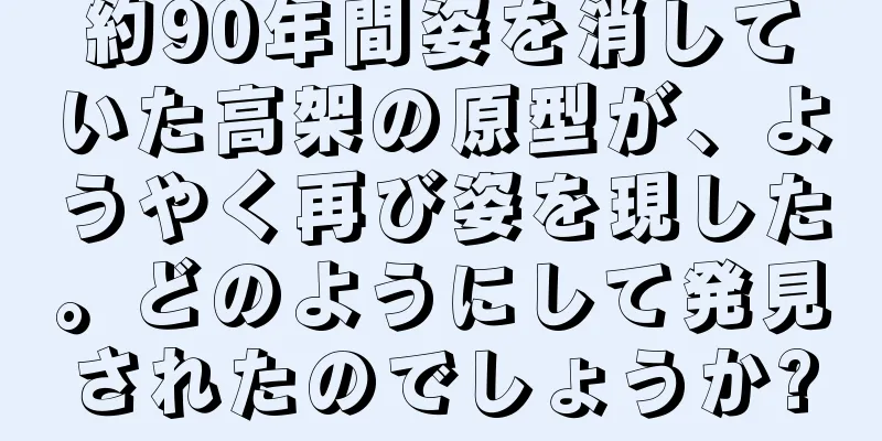 約90年間姿を消していた高架の原型が、ようやく再び姿を現した。どのようにして発見されたのでしょうか?