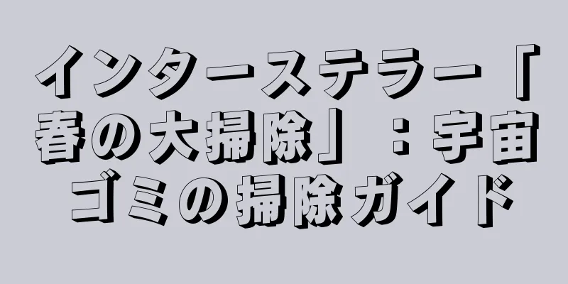 インターステラー「春の大掃除」：宇宙ゴミの掃除ガイド