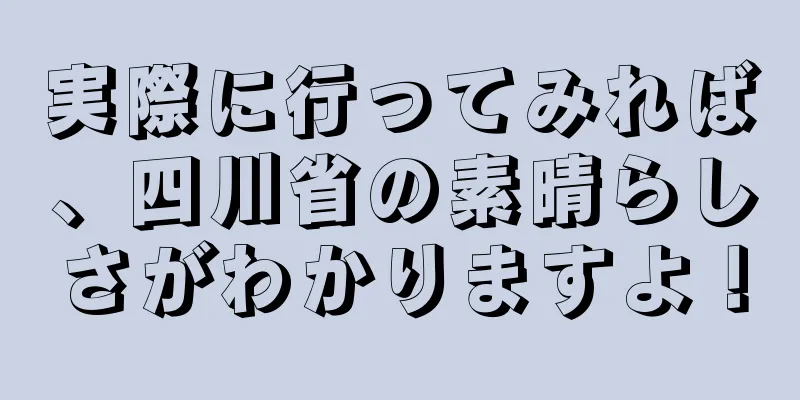 実際に行ってみれば、四川省の素晴らしさがわかりますよ！