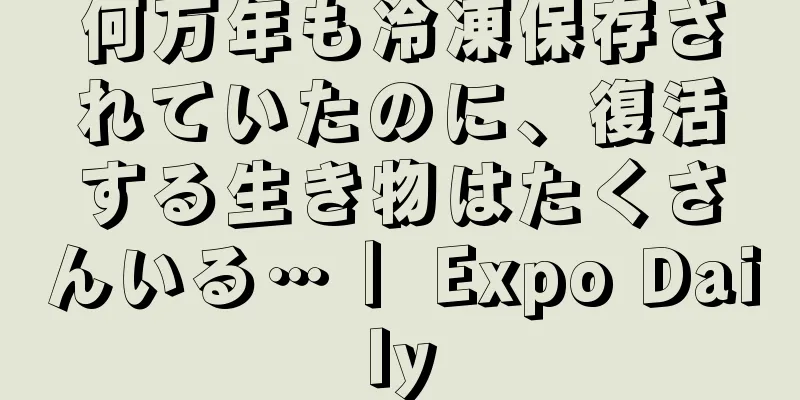 何万年も冷凍保存されていたのに、復活する生き物はたくさんいる…｜ Expo Daily