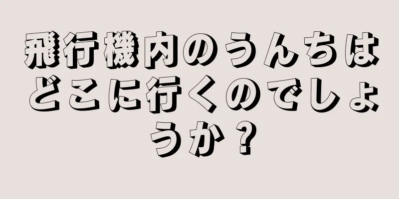 飛行機内のうんちはどこに行くのでしょうか？