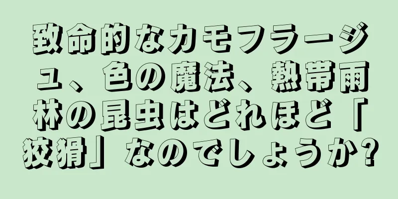 致命的なカモフラージュ、色の魔法、熱帯雨林の昆虫はどれほど「狡猾」なのでしょうか?