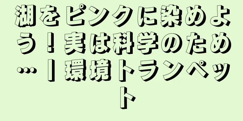 湖をピンクに染めよう！実は科学のため…丨環境トランペット