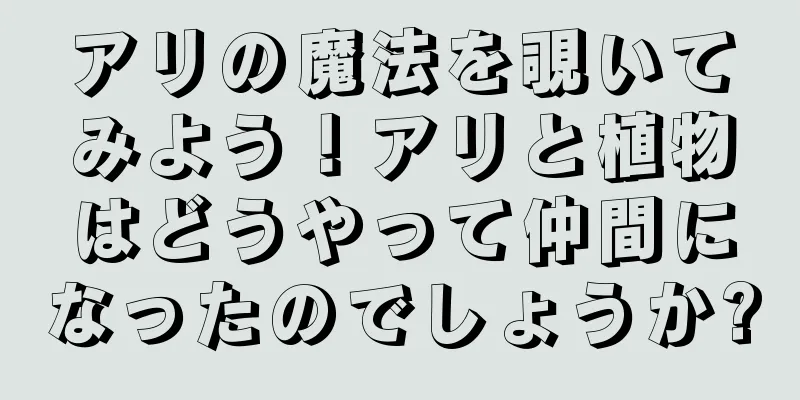 アリの魔法を覗いてみよう！アリと植物はどうやって仲間になったのでしょうか?