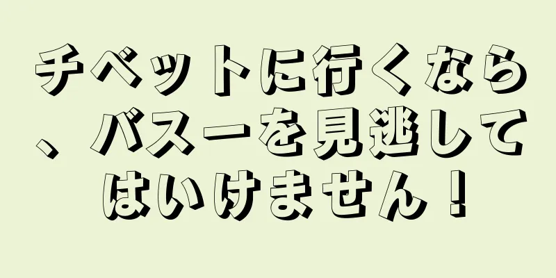 チベットに行くなら、バスーを見逃してはいけません！