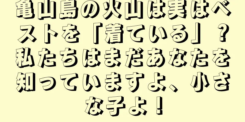 亀山島の火山は実はベストを「着ている」？私たちはまだあなたを知っていますよ、小さな子よ！