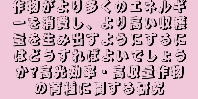 作物がより多くのエネルギーを消費し、より高い収穫量を生み出すようにするにはどうすればよいでしょうか?高光効率・高収量作物の育種に関する研究