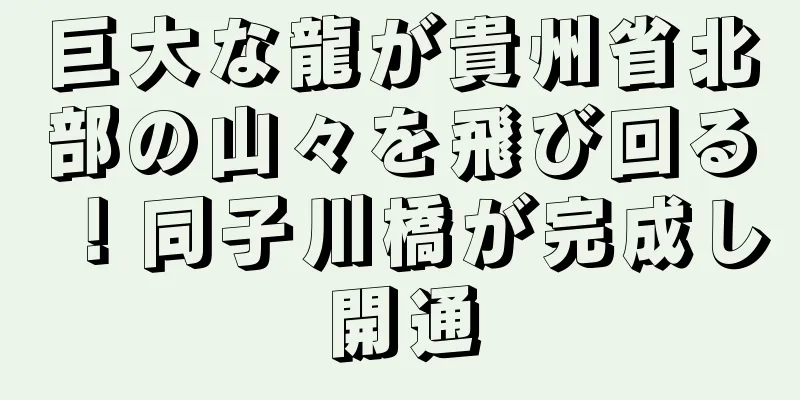 巨大な龍が貴州省北部の山々を飛び回る！同子川橋が完成し開通