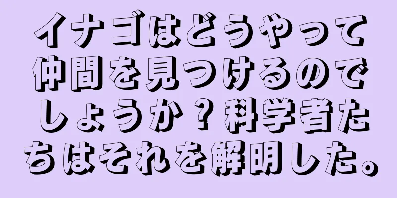 イナゴはどうやって仲間を見つけるのでしょうか？科学者たちはそれを解明した。