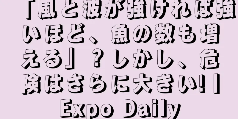 「風と波が強ければ強いほど、魚の数も増える」？しかし、危険はさらに大きい!丨Expo Daily