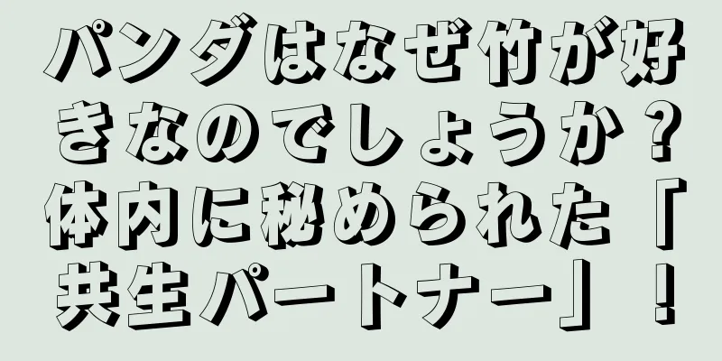 パンダはなぜ竹が好きなのでしょうか？体内に秘められた「共生パートナー」！