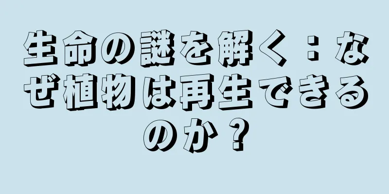 生命の謎を解く：なぜ植物は再生できるのか？