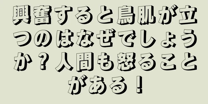 興奮すると鳥肌が立つのはなぜでしょうか？人間も怒ることがある！