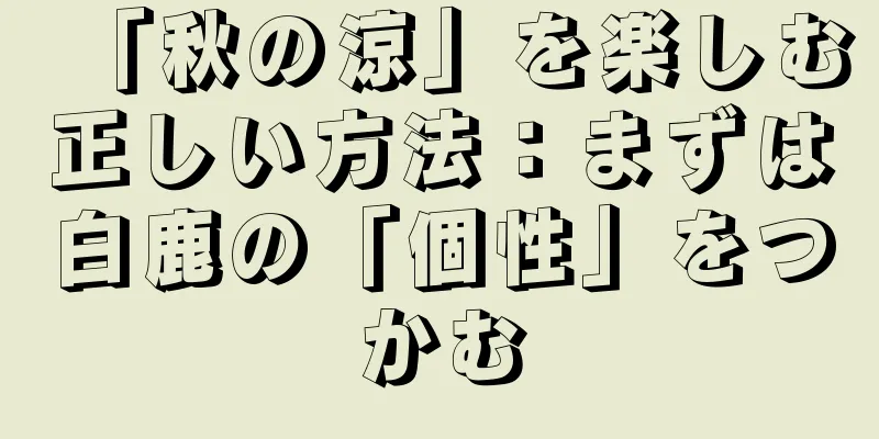「秋の涼」を楽しむ正しい方法：まずは白鹿の「個性」をつかむ