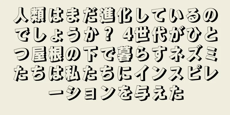 人類はまだ進化しているのでしょうか？ 4世代がひとつ屋根の下で暮らすネズミたちは私たちにインスピレーションを与えた