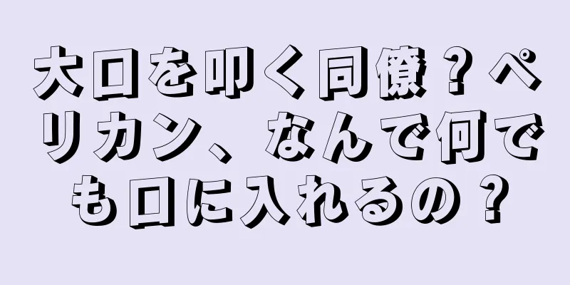 大口を叩く同僚？ペリカン、なんで何でも口に入れるの？