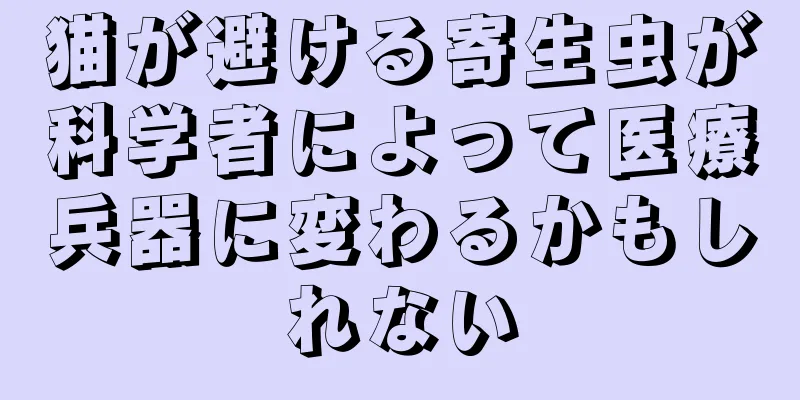 猫が避ける寄生虫が科学者によって医療兵器に変わるかもしれない
